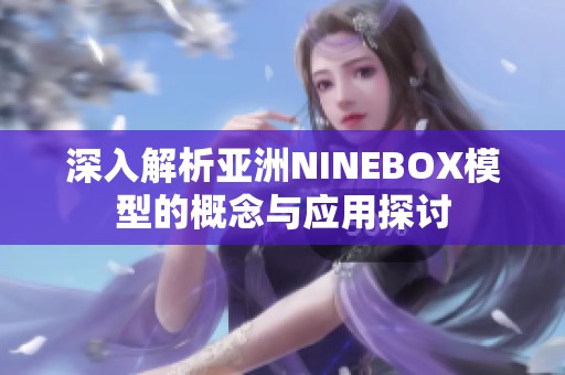 深入解析亚洲NINEBOX模型的概念与应用探讨