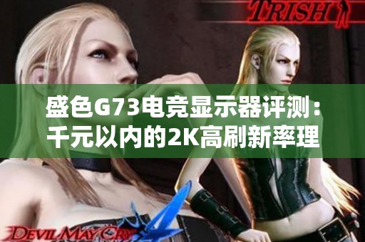 盛色G73电竞显示器评测：千元以内的2K高刷新率理想选择，游戏玩家不能忽视的优质产品