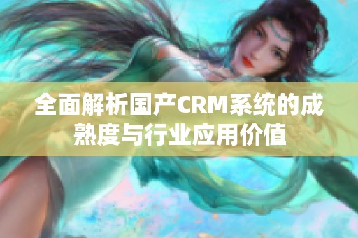 全面解析国产CRM系统的成熟度与行业应用价值