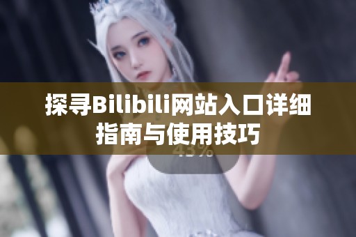 探寻Bilibili网站入口详细指南与使用技巧